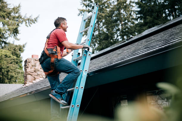 Best Roof Maintenance and Cleaning  in Round Rock, TX