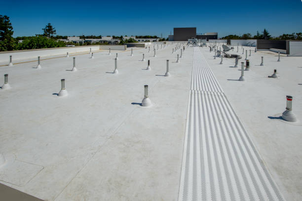 Best Sheet Metal Roofing  in Round Rock, TX